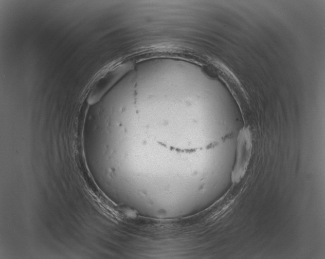 X0000083530930200702240014