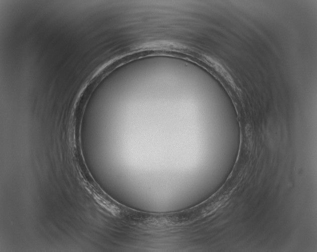 X0000083530931200702240014