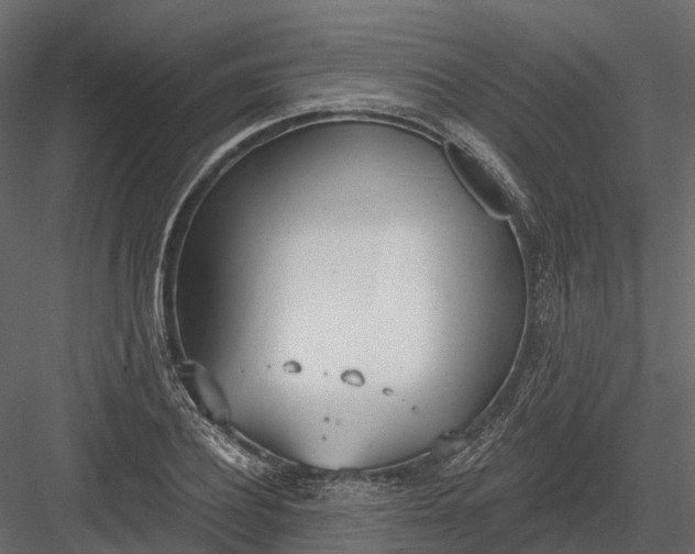 X0000083530932200702240014