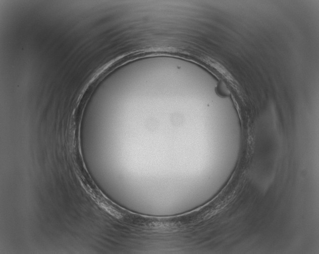 X0000083530933200702240014