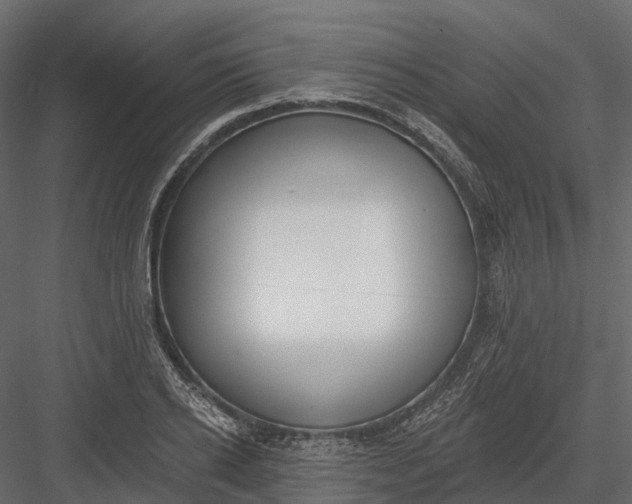 X0000083530934200702240014