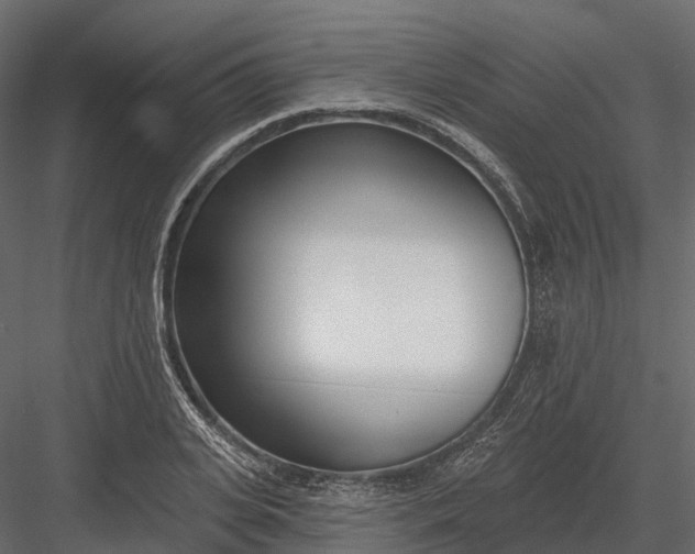 X0000083530935200702240014