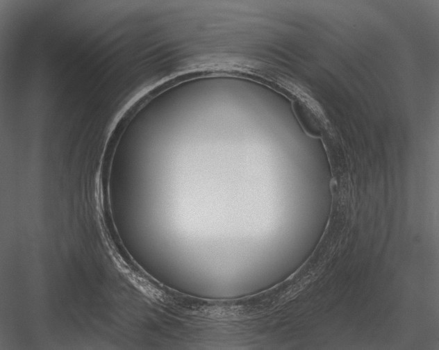 X0000083530936200702240014