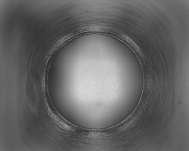 X0000083530938200702240014