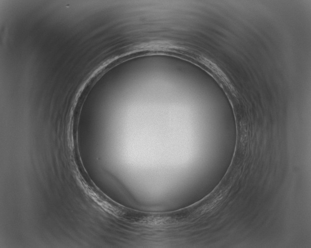 X0000083530939200702240014