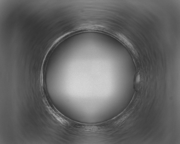 X0000083530940200702240014