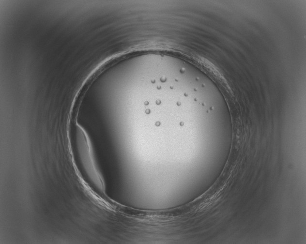 X0000083530942200702240014