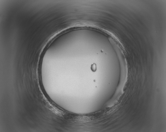 X0000083530943200702240014