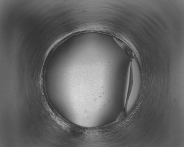 X0000083530944200702240014