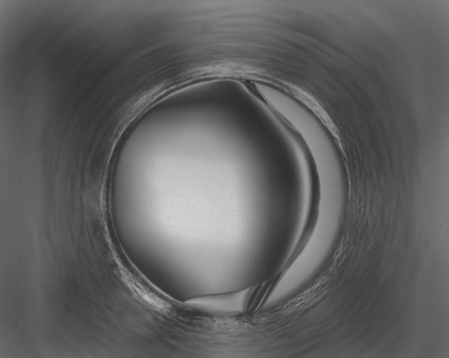 X0000083530946200702240014