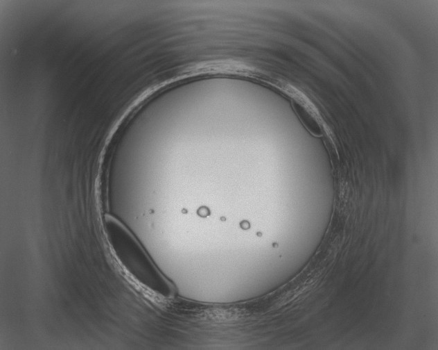 X0000083530947200702240014