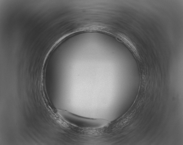 X0000083530948200702240014