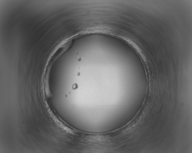 X0000083530949200702240014