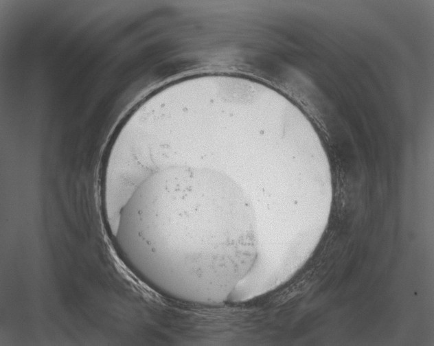 X0000083530950200702240014