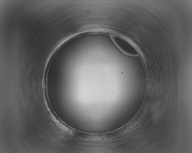 X0000083530951200702240014