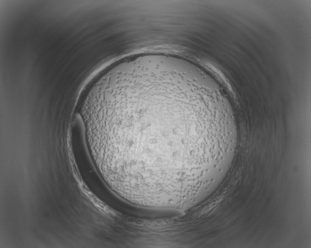 X0000083530952200702240014