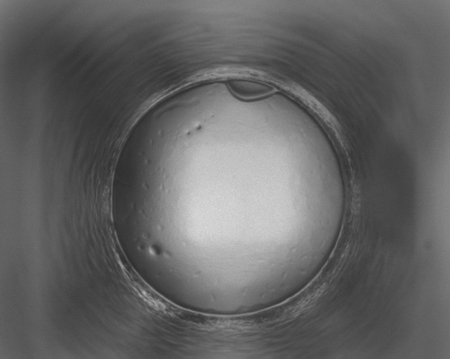 X0000083530953200702240014