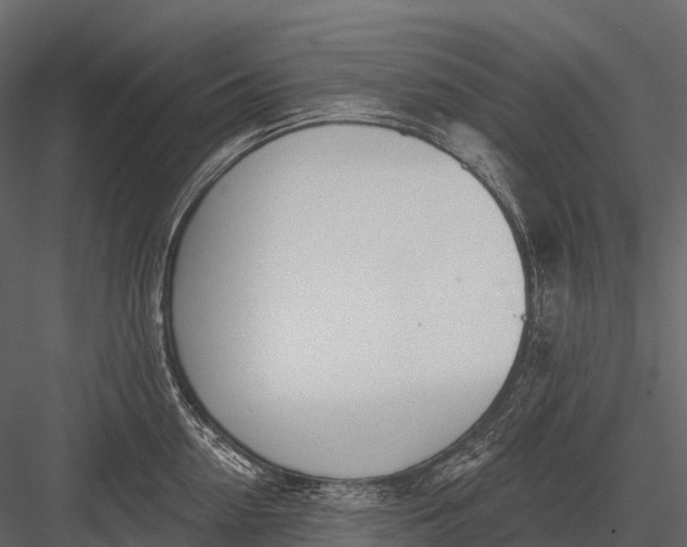 X0000083530954200702240014