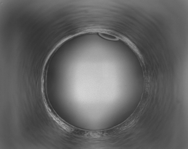 X0000083530955200702240015