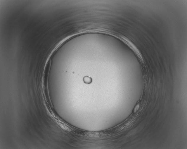 X0000083530956200702240015