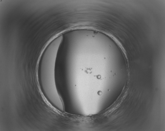 X0000083530957200702240015