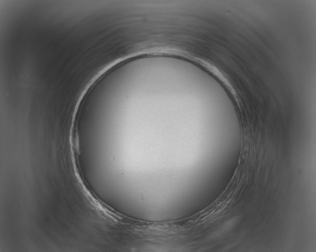 X0000083530959200702240015