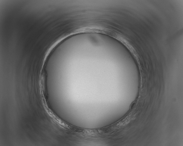 X0000083530960200702240015