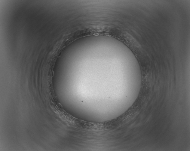 X0000083530961200702240014