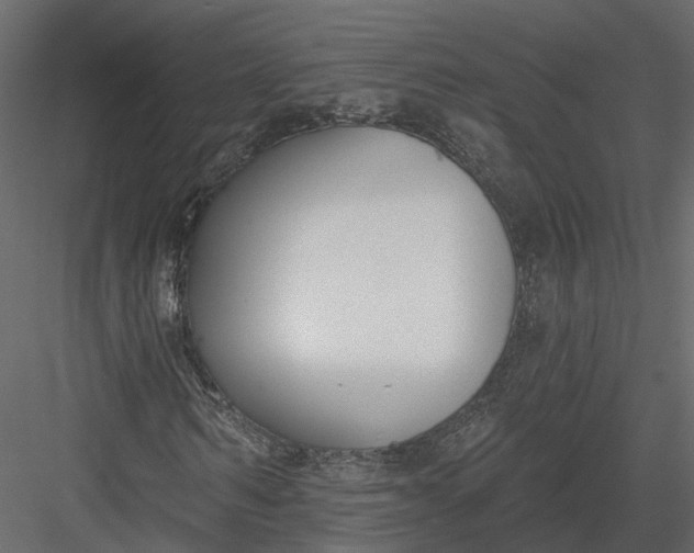 X0000083530962200702240014