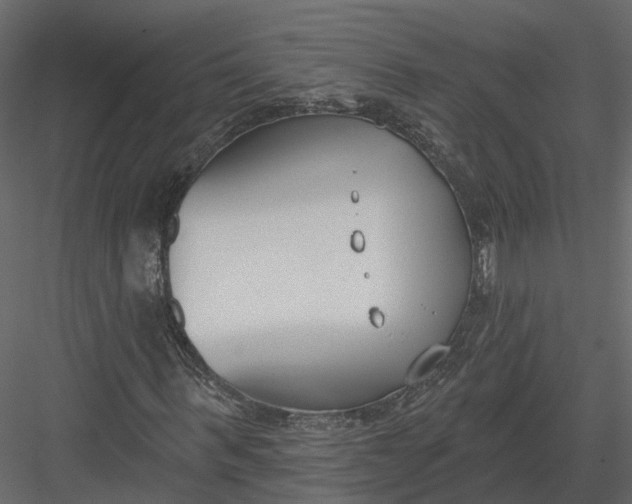 X0000083530963200702240014