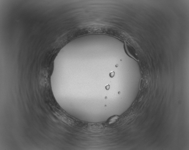 X0000083530964200702240014