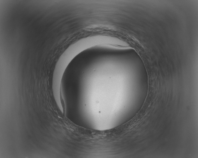 X0000083530965200702240014