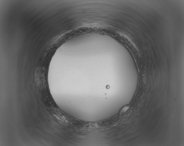 X0000083530968200702240014