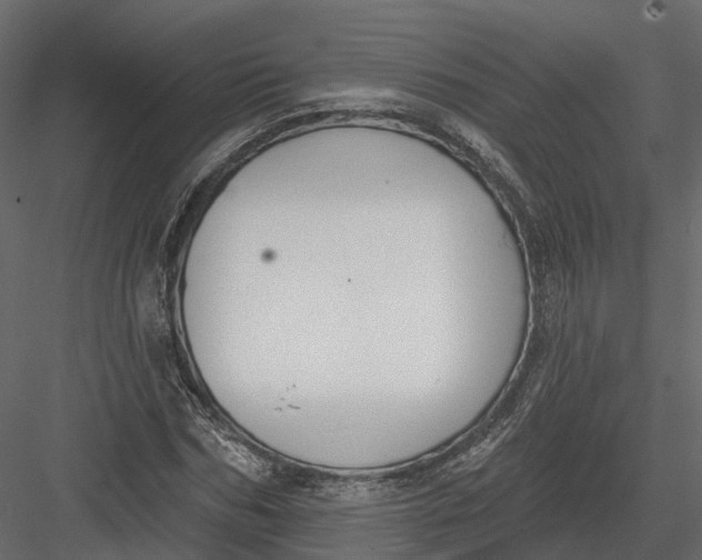 X0000083530970200702240014