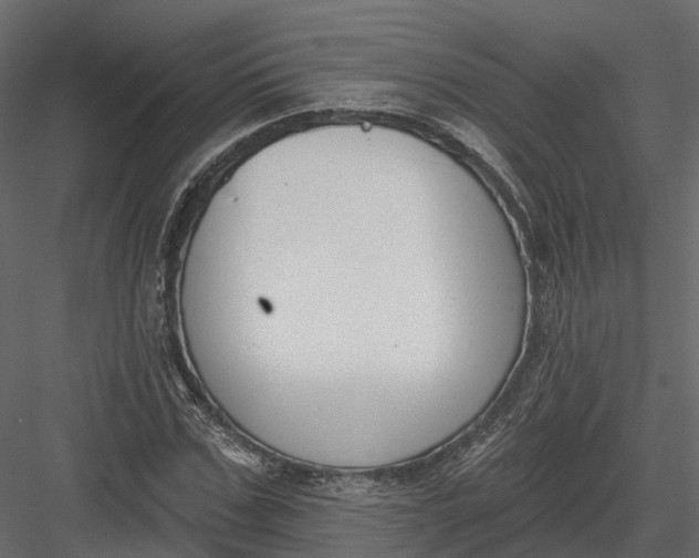 X0000083530971200702240014