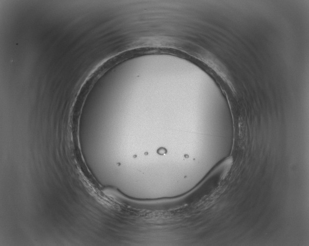 X0000083530972200702240014