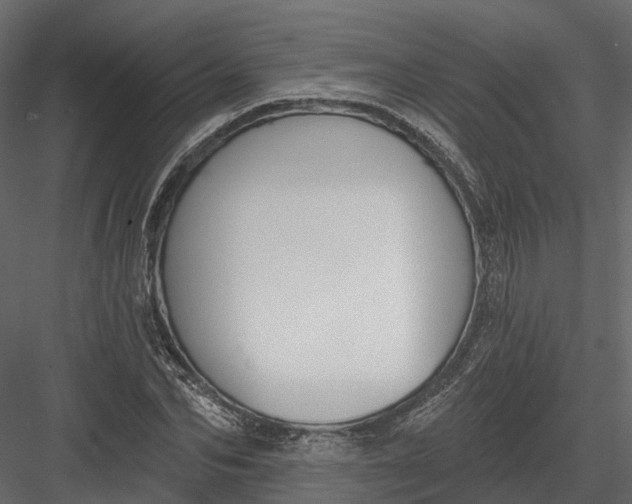 X0000083530974200702240014