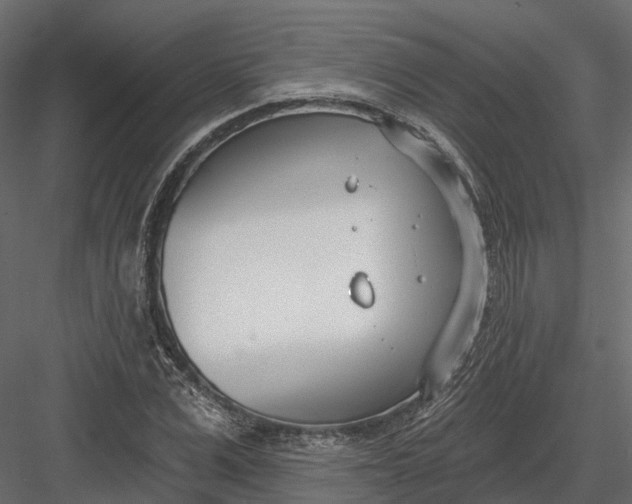 X0000083530975200702240014