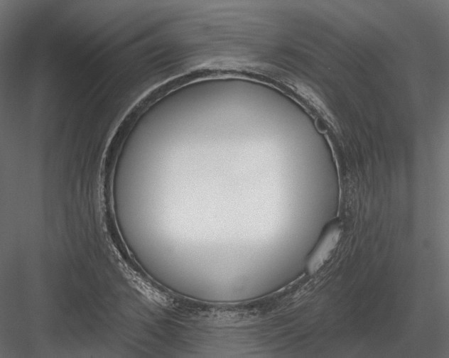 X0000083530976200702240014