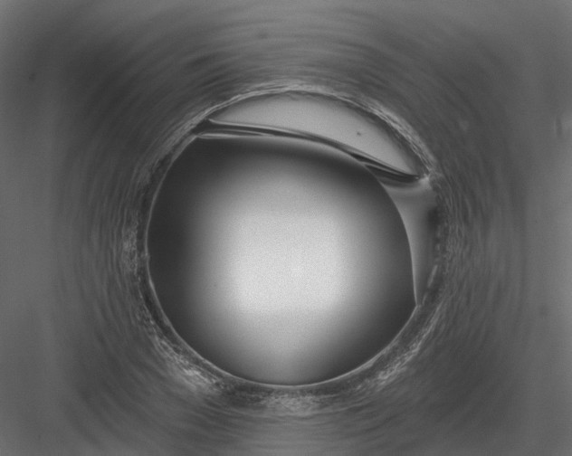 X0000083530977200702240014