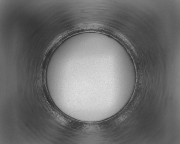 X0000083530978200702240013