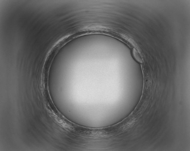 X0000083530979200702240013