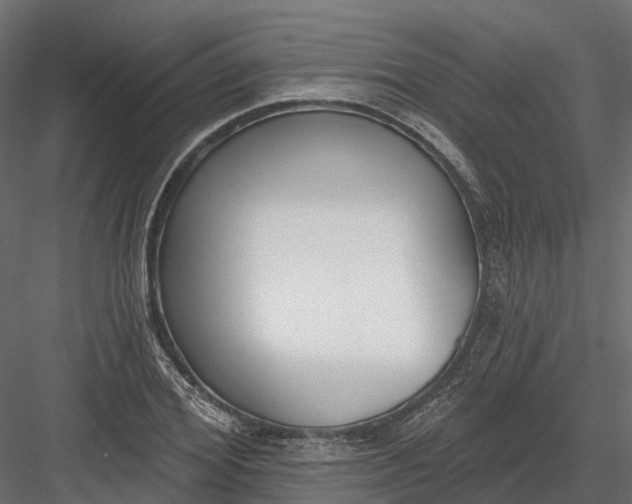 X0000083530980200702240013