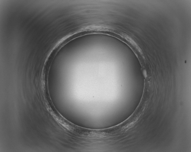 X0000083530981200702240013