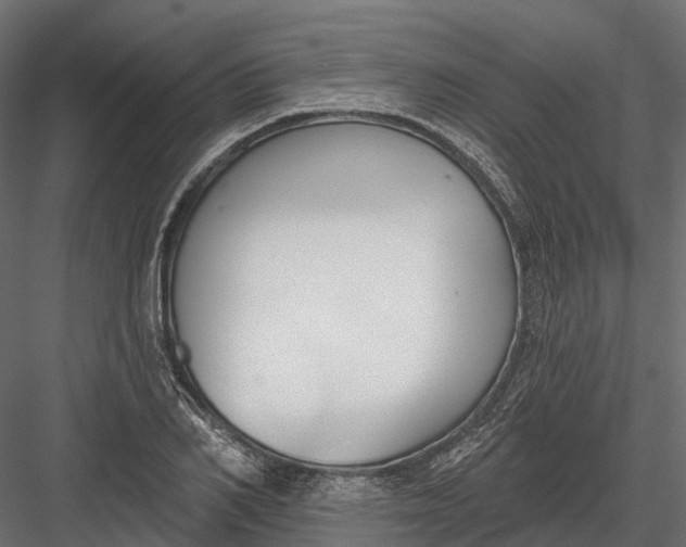 X0000083530982200702240013