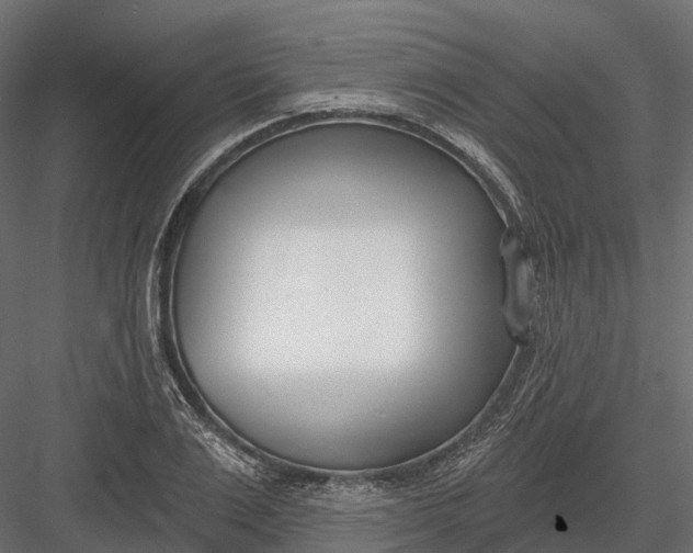 X0000083530983200702240013