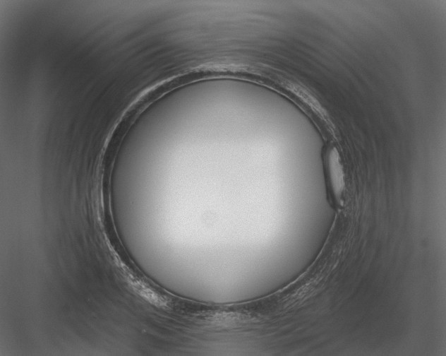 X0000083530984200702240013