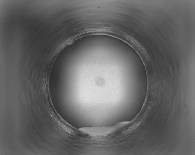 X0000083530985200702240013