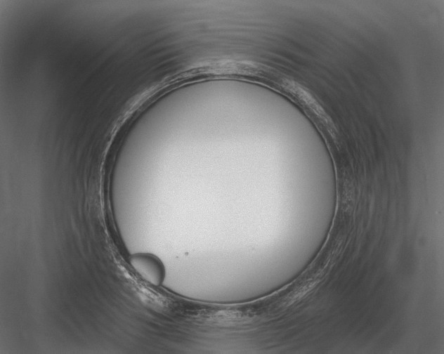 X0000083530986200702240013