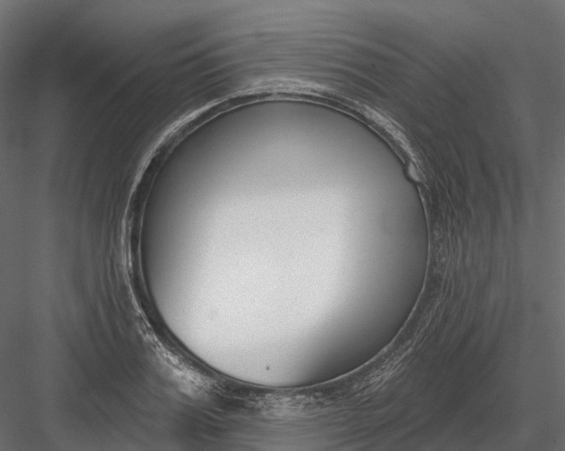 X0000083530987200702240013